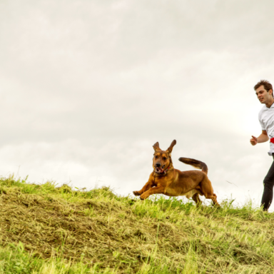 Geländelauf mit Hund